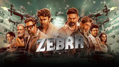 Zebra Hindi Action Movie Thumbnail