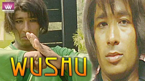 Wushu Hindi Action Shorts Thumbnail
