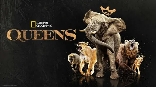 Queens English Documentary Trailer Thumbnail