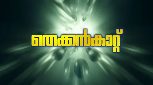 Thekkan Kattu Malayalam Romance Movie Thumbnail