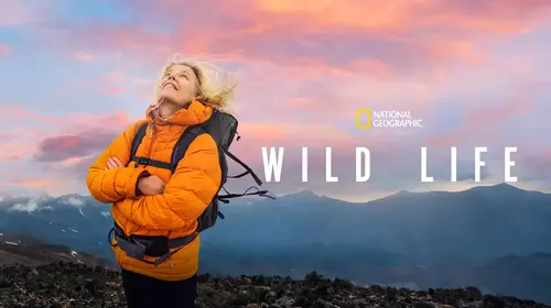 Wild Life English Documentary Movie Thumbnail