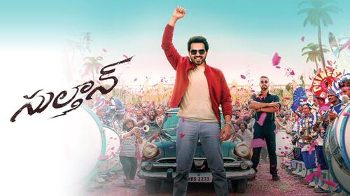 Sulthan Telugu Action Movie Thumbnail