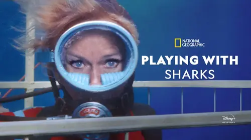Playing with Sharks English Animals & Nature Movie Thumbnail