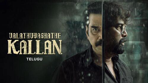 Valathu Vashathe Kallan Telugu Crime Movie Thumbnail