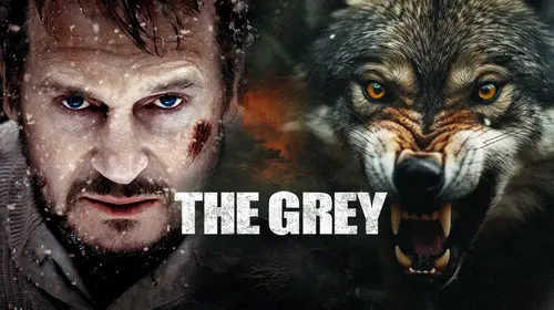 The Grey Hindi Thriller Movie Thumbnail