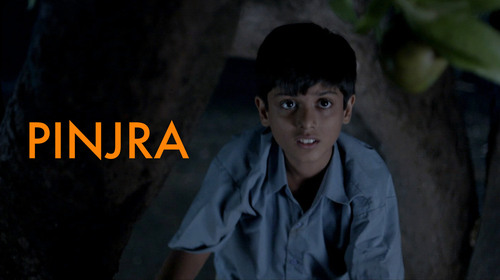 PINJRA Hindi Thriller Shorts Thumbnail