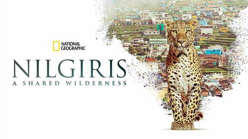 Nilgiris - A Shared Wilderness English Documentary Movie Thumbnail