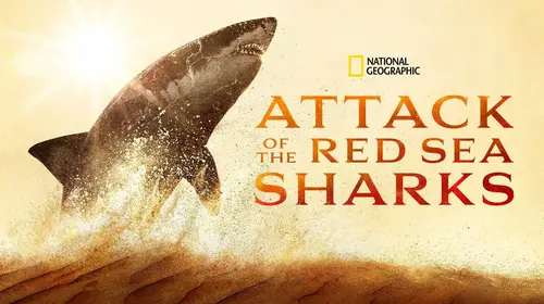Attack of the Red Sea Sharks English Documentary Movie Thumbnail