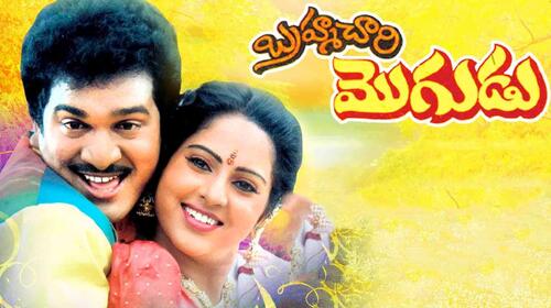 Brahmachari Mogudu Telugu Comedy Movie Thumbnail