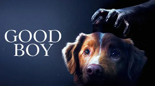 Good Boy Horror Movie Thumbnail