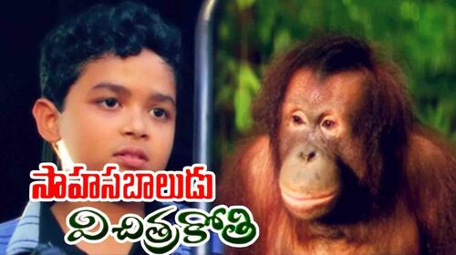 Sahasa Baludu Vichitra Kothi Telugu Drama Movie Thumbnail