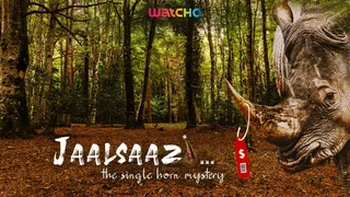 Jaalsaazi Hindi thriller,crime Series Thumbnail