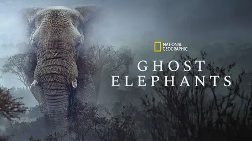 Ghost Elephants English Documentary Movie Thumbnail