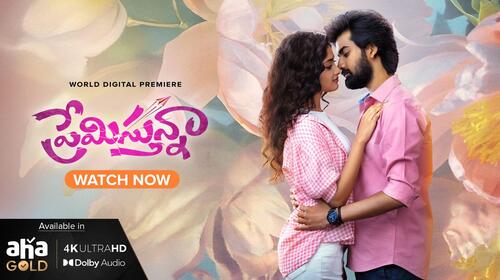 Premistunnaa Telugu Drama Movie Thumbnail
