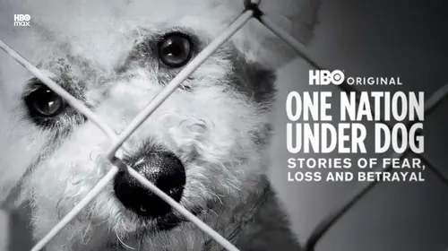 One Nation Under Dog: Stories of Fear, Loss, & Betrayal English Documentary Movie Thumbnail