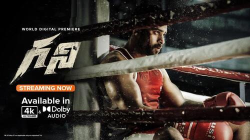 Ghani Telugu Drama Movie Thumbnail