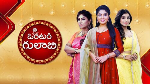 Vontari Gulabi Telugu Serials Series Thumbnail