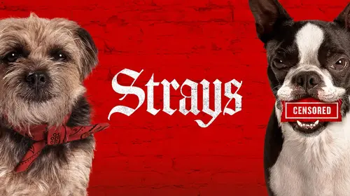 Strays English Adventure Movie Thumbnail
