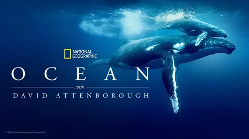 Ocean with David Attenborough English Animals & Nature Movie Thumbnail