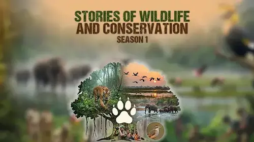 Stories of Wildlife and Conservation - Season 1 Talk Show Trailer Thumbnail