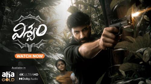 Viswam Telugu Action Movie Thumbnail