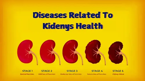 Diseases Related to Kidney Health Hindi Health Movie Thumbnail