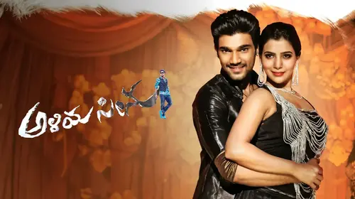 Aliya Seenu Kannada Action Movie Thumbnail