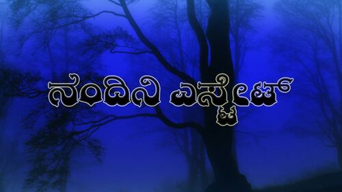 Nandini Estate Kannada Drama Movie Thumbnail