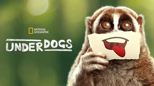 Underdogs English Animals & Nature Trailer Thumbnail