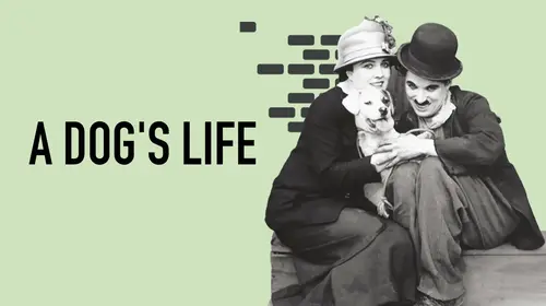 Charlie Chaplin - A Dog's Life English Comedy Movie Thumbnail