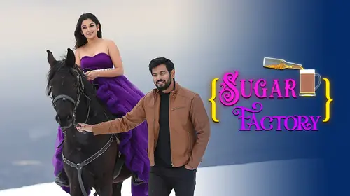 Sugar Factory Hindi Romance Movie Thumbnail