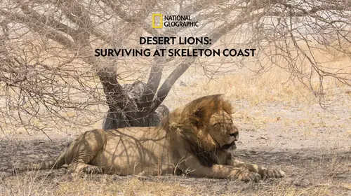 Desert Lions : Surviving at Skeleton Coast English Animals & Nature Movie Thumbnail