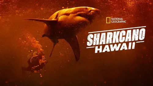 Sharkcano: Hawaii English Documentary Movie Thumbnail
