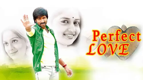 Perfect Love Odia Romance Movie Thumbnail