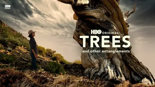 Trees and Other Entanglements English Documentary Movie Thumbnail