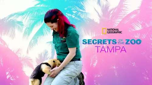 Secrets of the Zoo: Tampa English Reality Trailer Thumbnail