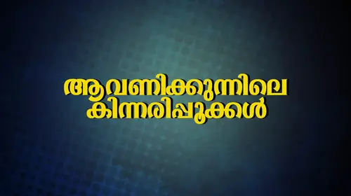 Aavanikunnile Kinnaripookkal Malayalam Romance Movie Thumbnail