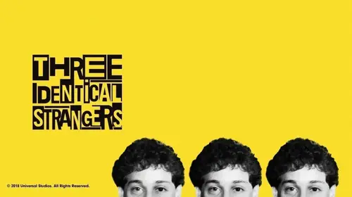Three Identical Strangers English Documentary Trailer Thumbnail