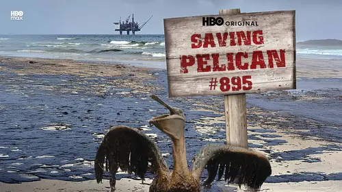 Saving Pelican 895 English Animals & Nature Movie Thumbnail