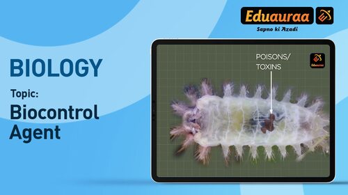 Biocontrol Agent English Education Shorts Thumbnail