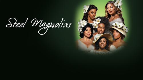 Steel Magnolias (1989) English Comedy Movie Thumbnail