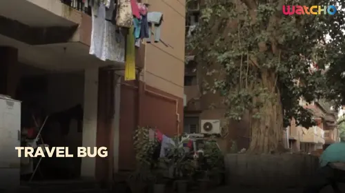 Travel Bug English Comedy Shorts Thumbnail