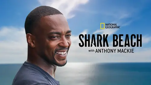 Shark Beach with Anthony Mackie: Gulf Coast English Animals & Nature Movie Thumbnail