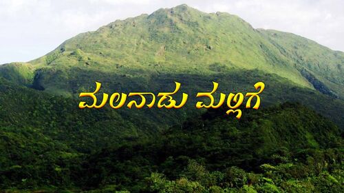 Malanada Mallie Kannada Romance Movie Thumbnail