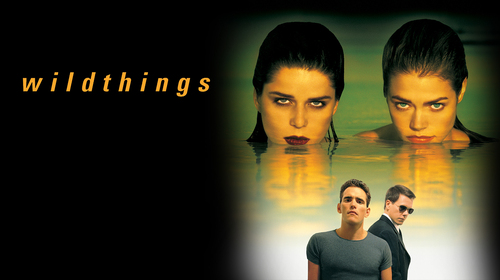 Wild Things English Crime Movie Thumbnail