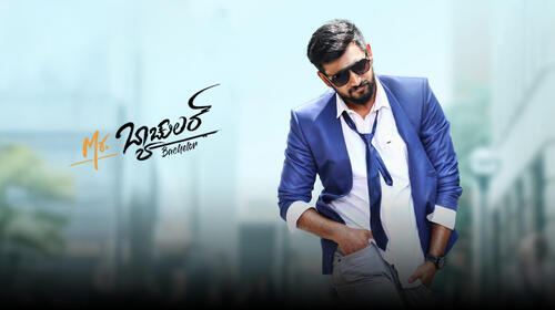 Mr. Bachelor Kannada Action Movie Thumbnail