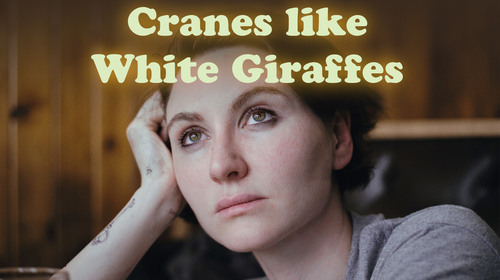 CRANES LIKE WHITE GIRAFFES English Drama Shorts Thumbnail
