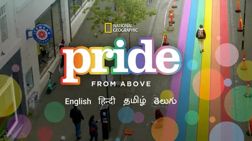 Pride from Above English Travel Trailer Thumbnail