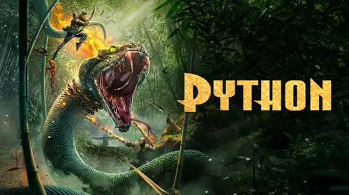 Python Hindi Action Movie Thumbnail
