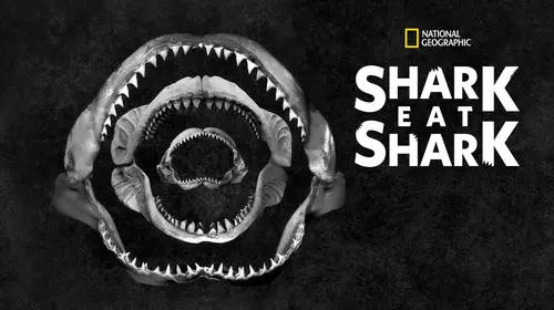 Shark Eat Shark English Documentary Movie Thumbnail